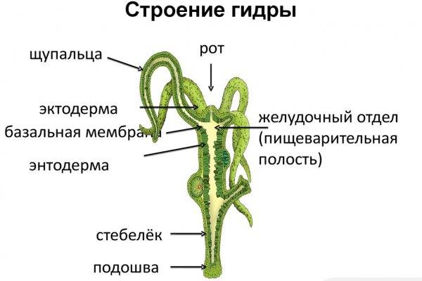 Кракен браузер ссылка